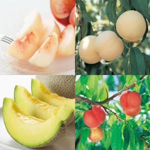 春夏の果物