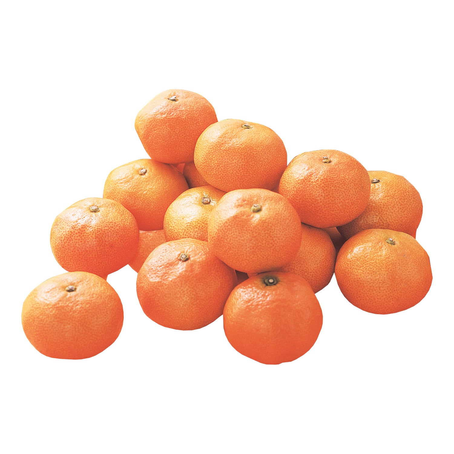 愛媛県産 みかん