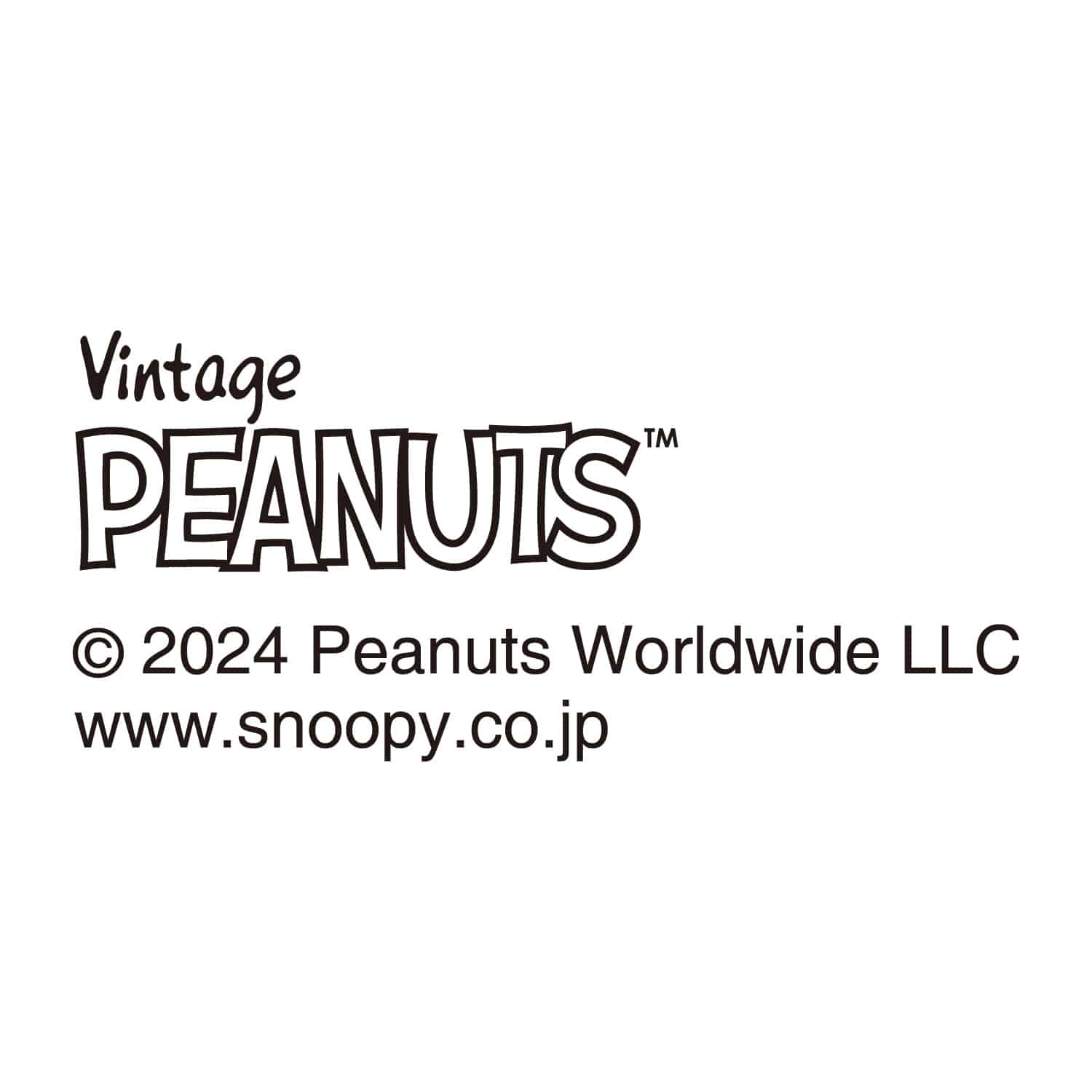 スヌーピー ハグ タオルセット