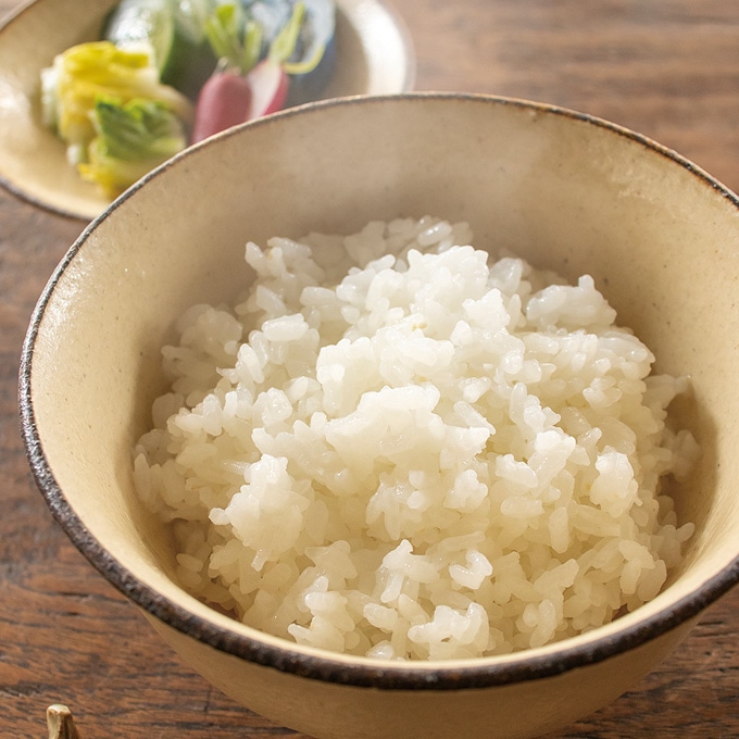 長谷園 陶珍おひつ碗 粉引