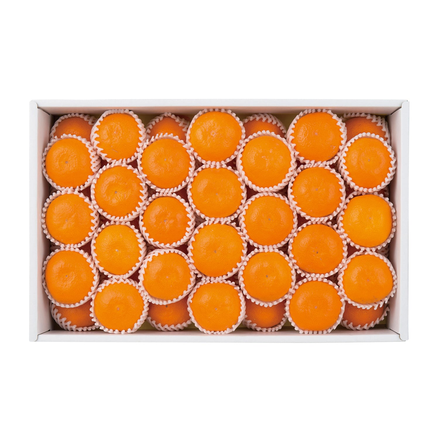 愛媛県産 みかん