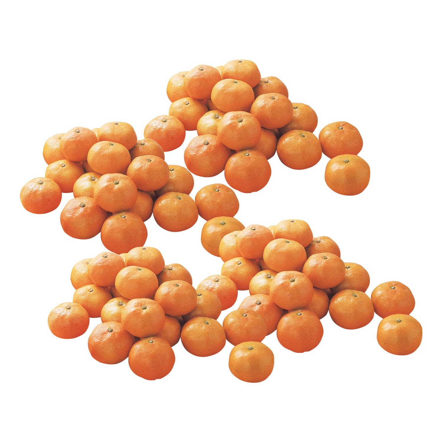 熊本県産 河内みかん