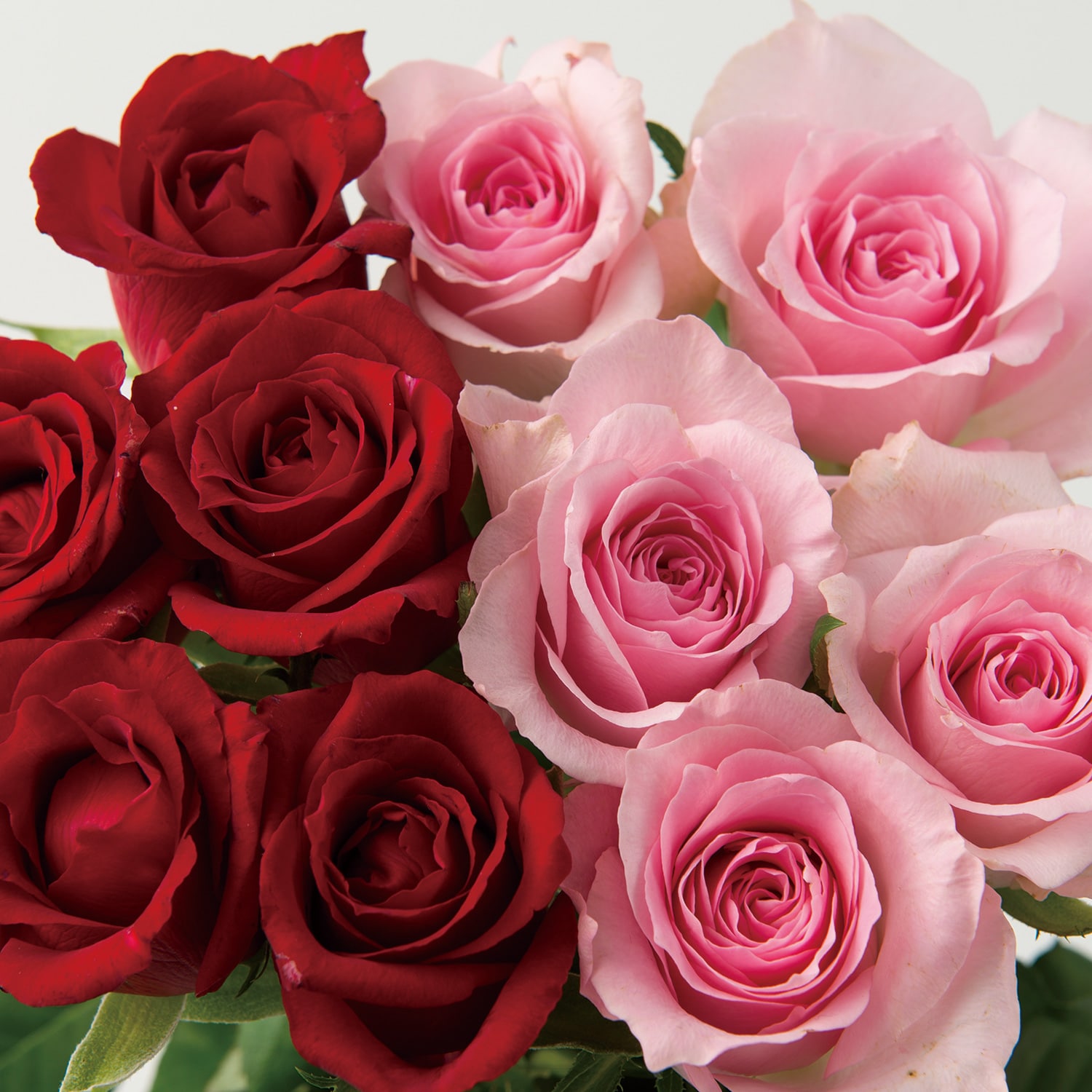 山形の極み 山形産 農園直送 高級バラ