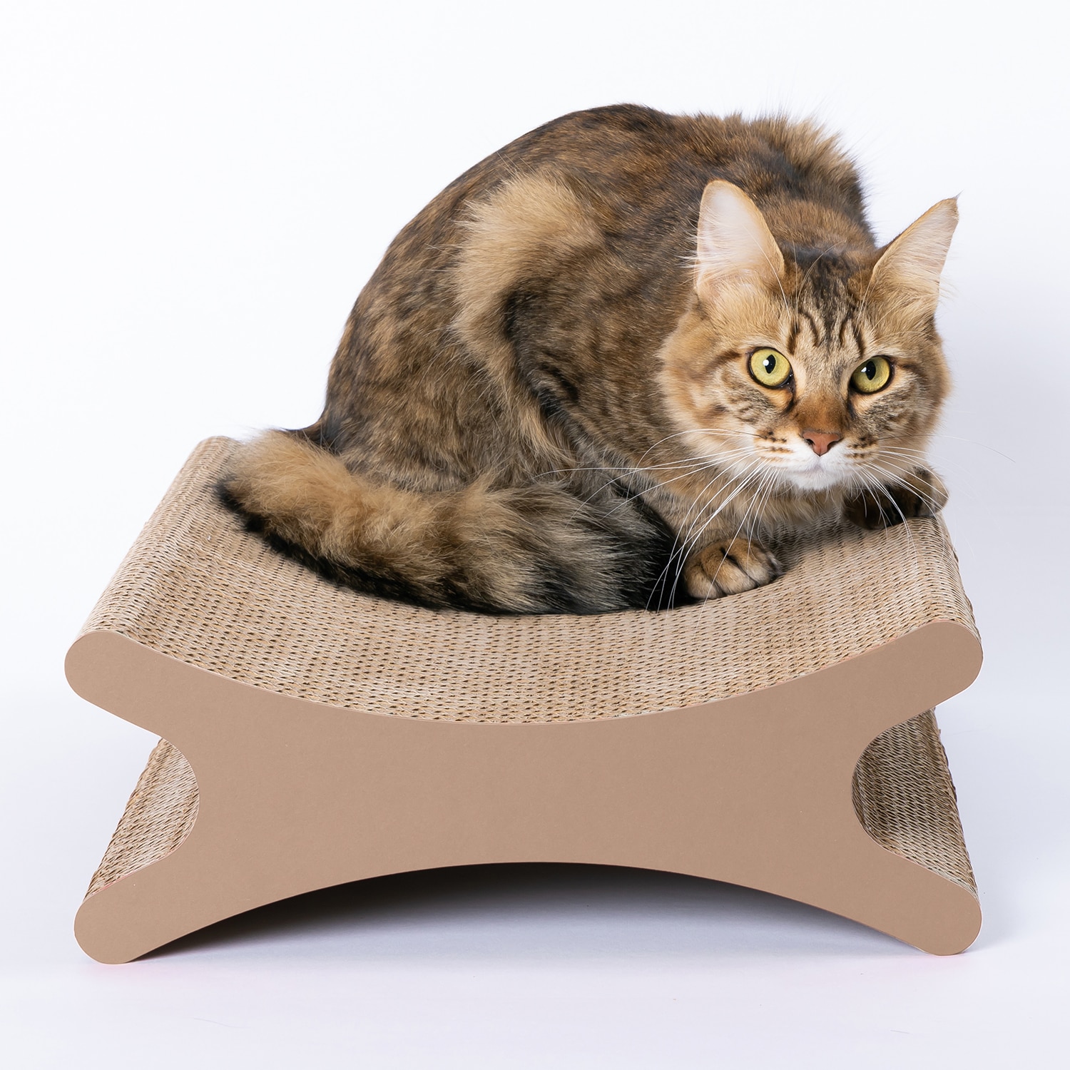 にゃんボール(R) リバース(猫用爪とぎ)