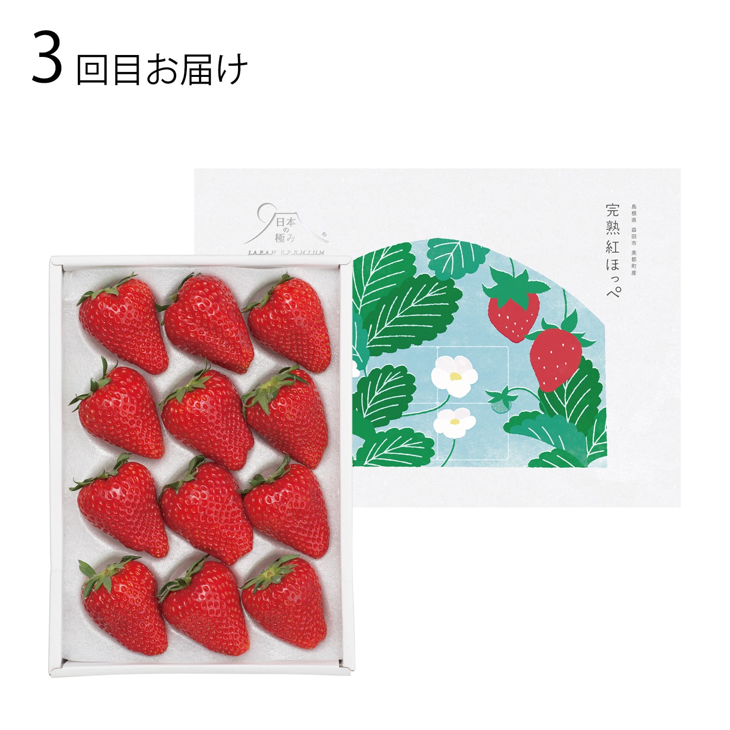 フルーツコースB