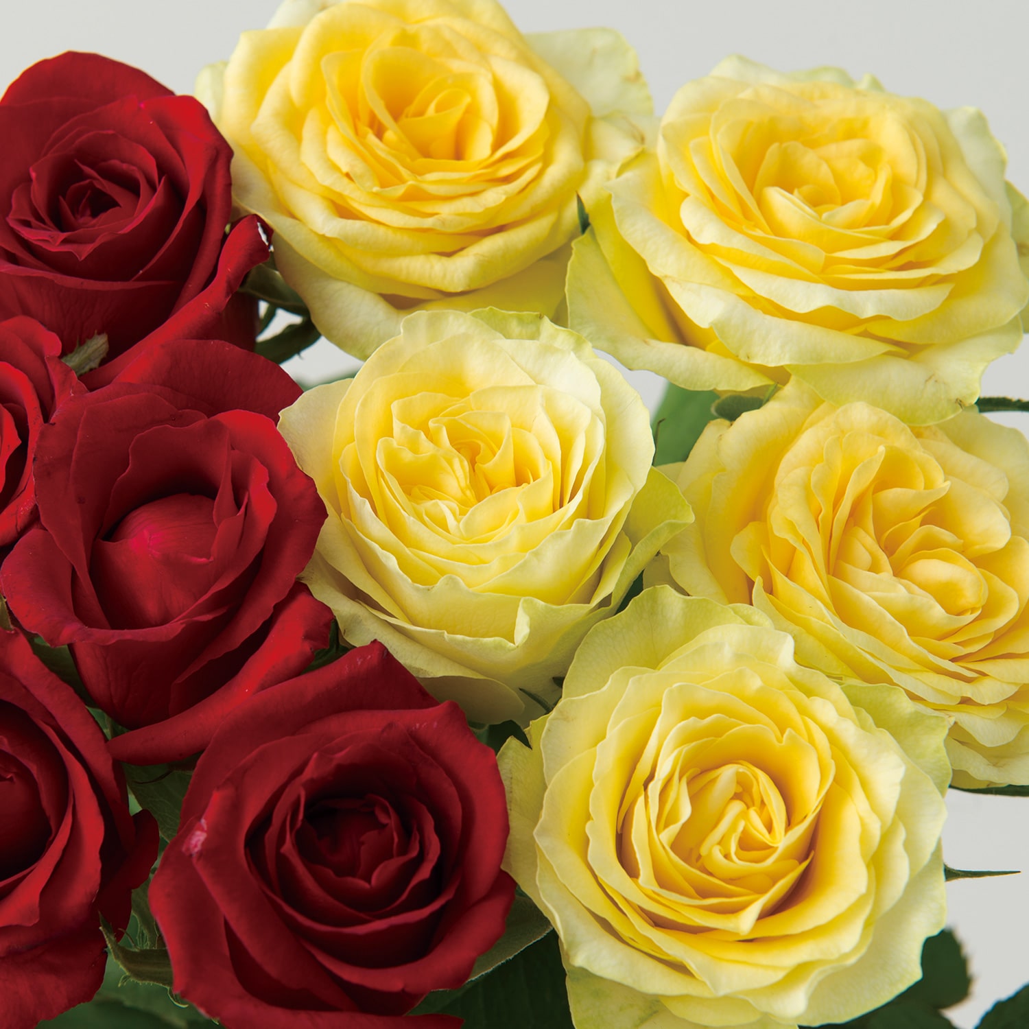 山形の極み 山形産 農園直送 高級バラ