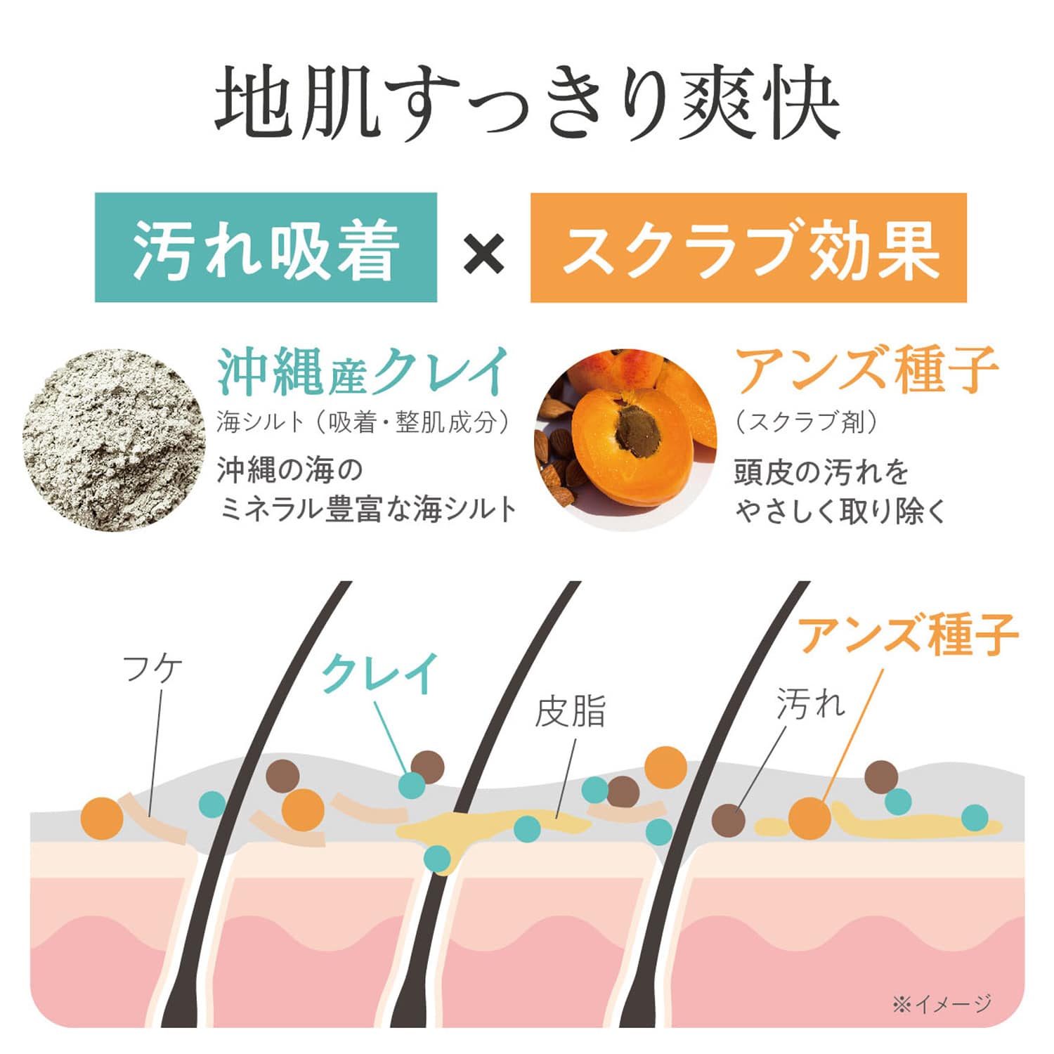 デイリーディライト ヘッドクレンズ&スカルプブラシセット