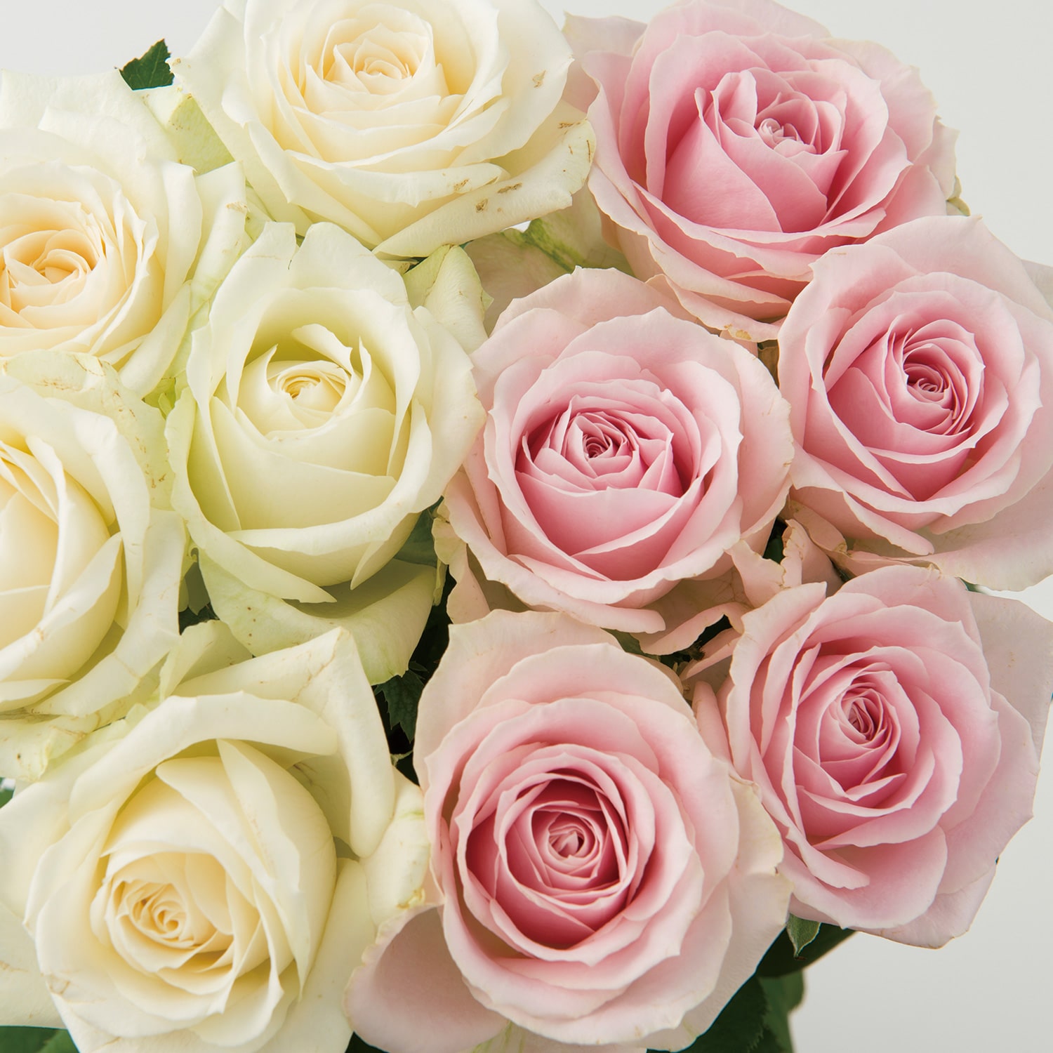 山形の極み 山形産 農園直送 高級バラ