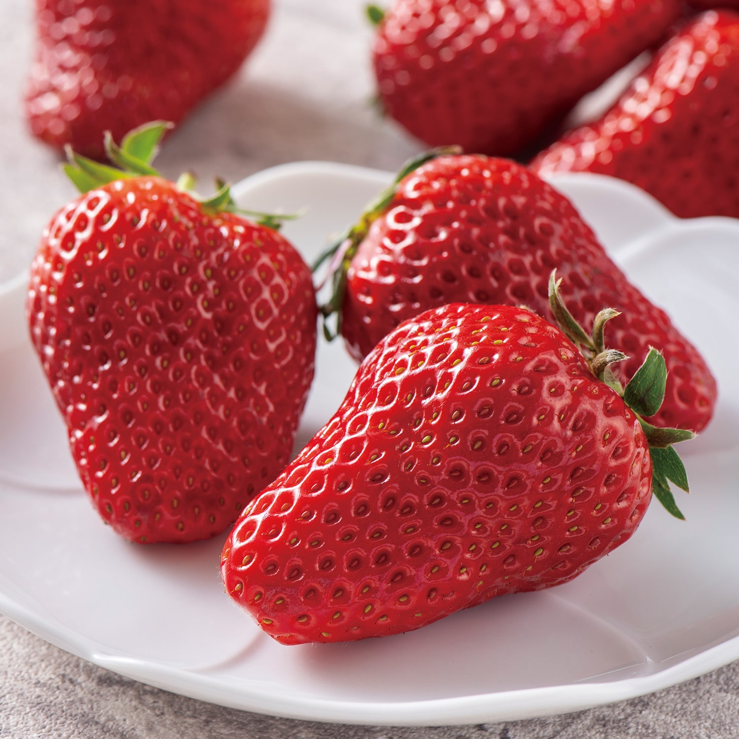 フルーツコースB