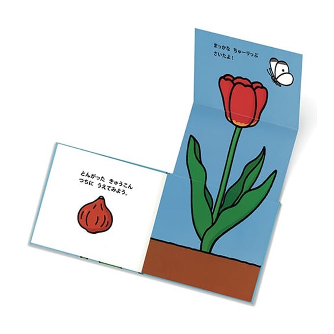 いしかわこうじ 絵本セット 4冊、こどもずかん3冊、他2冊、ドッツカード いしかわこうじ 絵本セット 4冊、こどもずかん3冊、他2冊