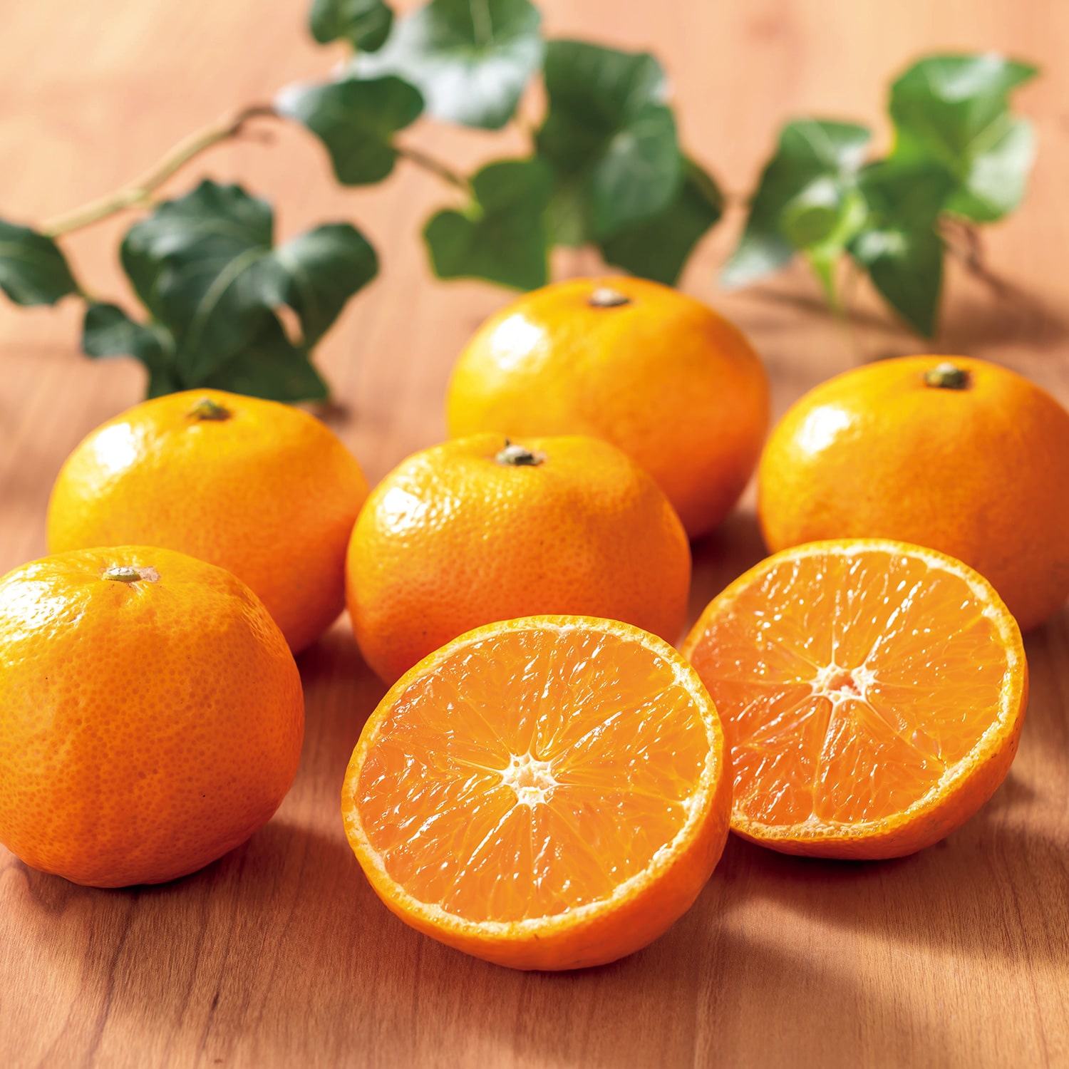 熊本県産 河内みかん