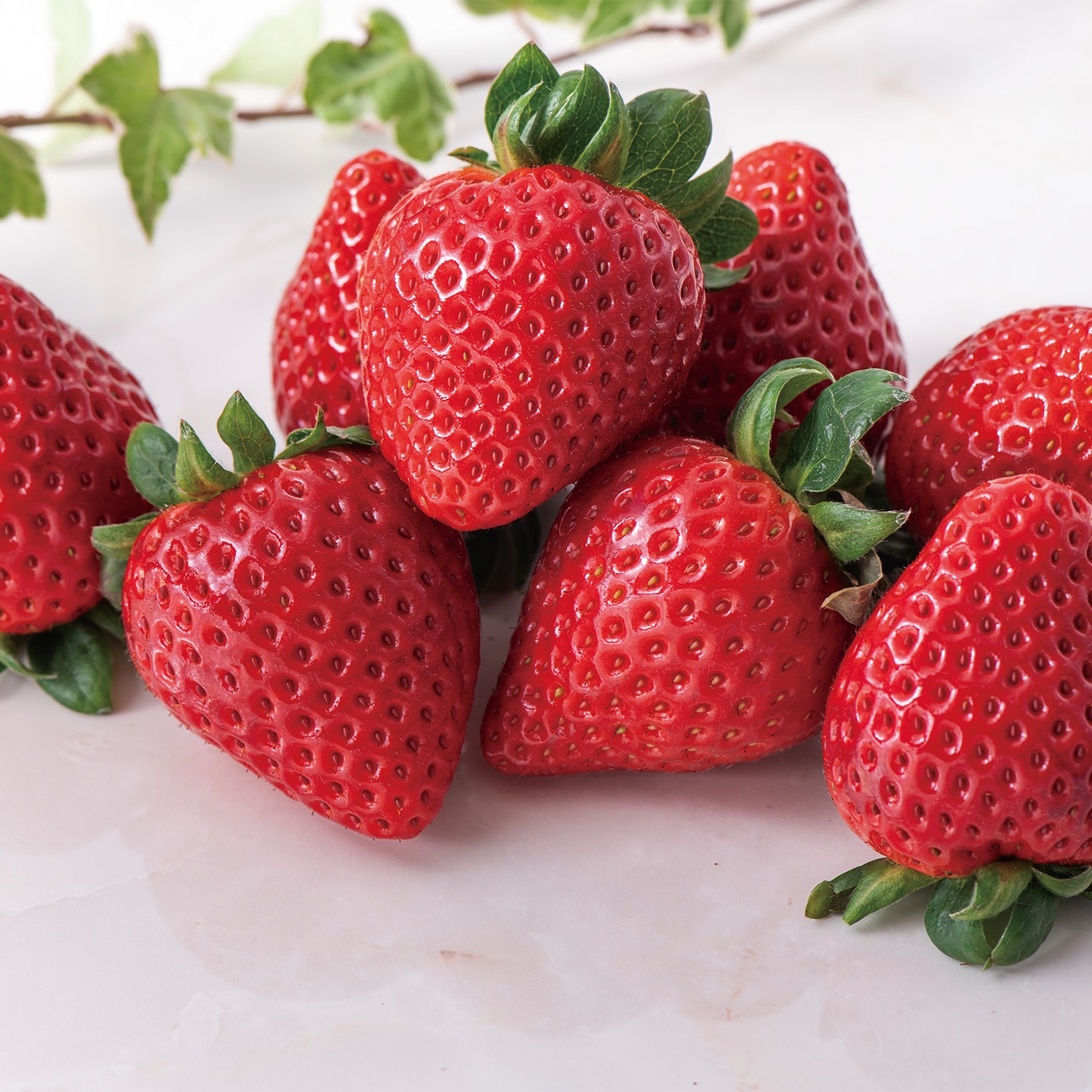 日本の極み 埼玉県産 いちご（あまりん）【eGift】|デジタルギフト