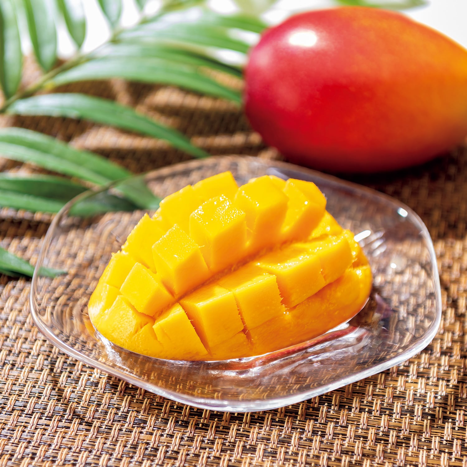 宮崎県産 完熟マンゴー