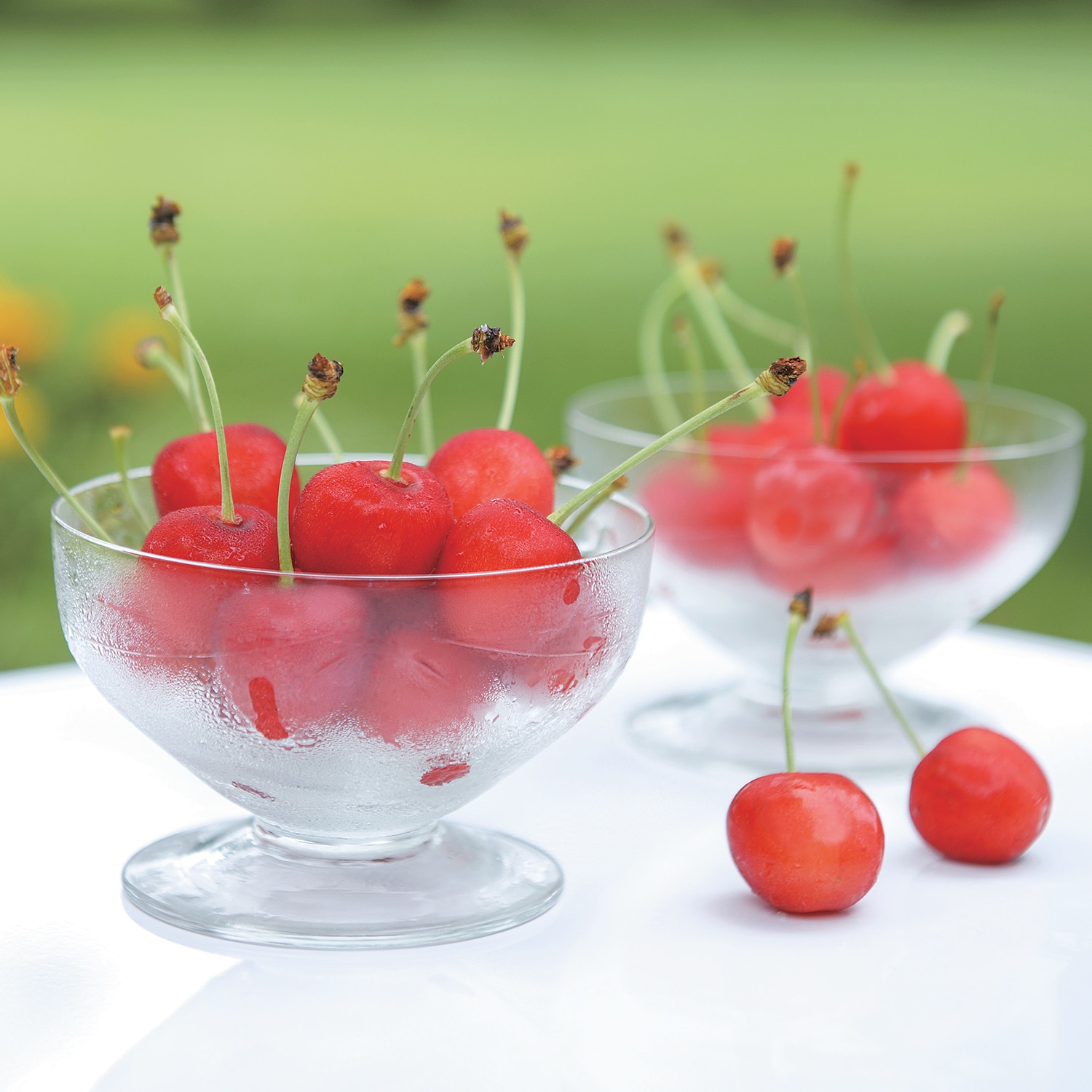 山形県産　さくらんぼ（佐藤錦）