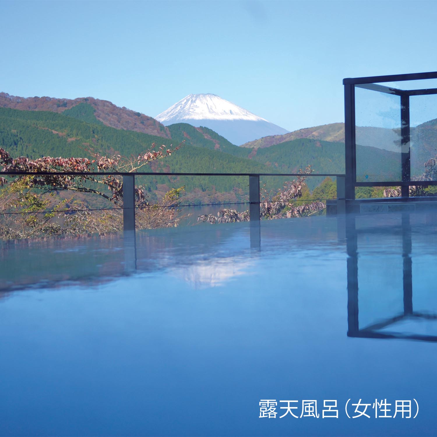 国登録有形文化財 絶景日帰り温泉 龍宮殿本館 日帰り温泉+ランチペア