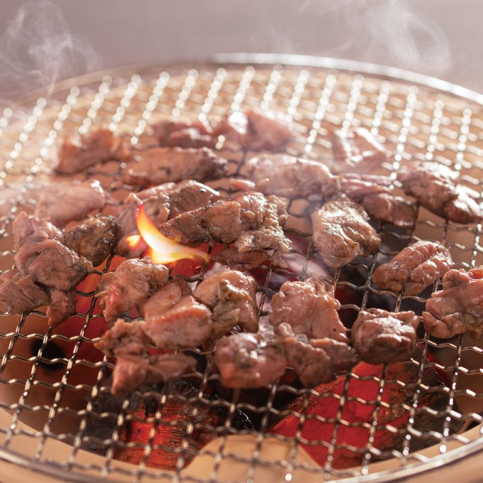 日本の極み みやざき地頭鶏炭火焼き鳥