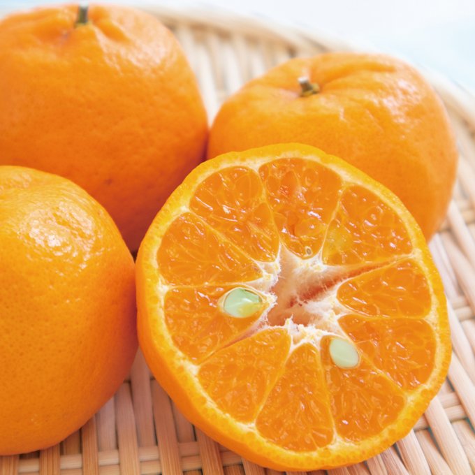 日本の極み 愛媛県産 ぽんかん
