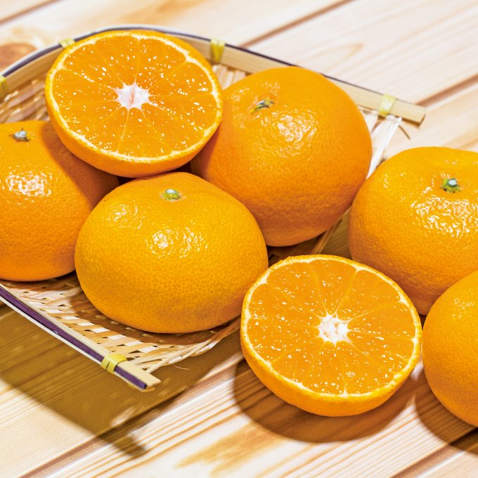 愛媛県産 宇和島みかん