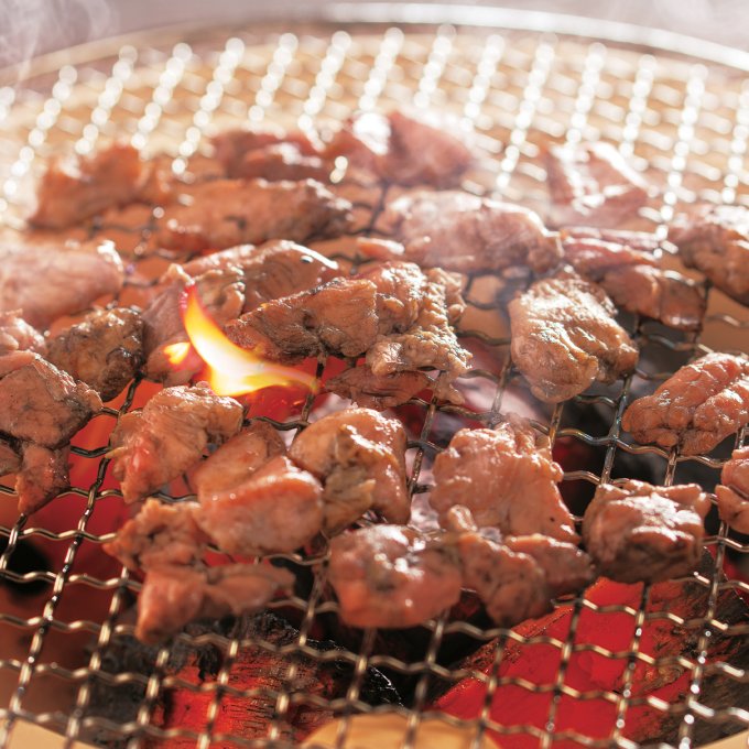 日本の極み みやざき地頭鶏炭火焼き鳥セット